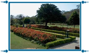 Shanti Kunj Garden of Chandigarh